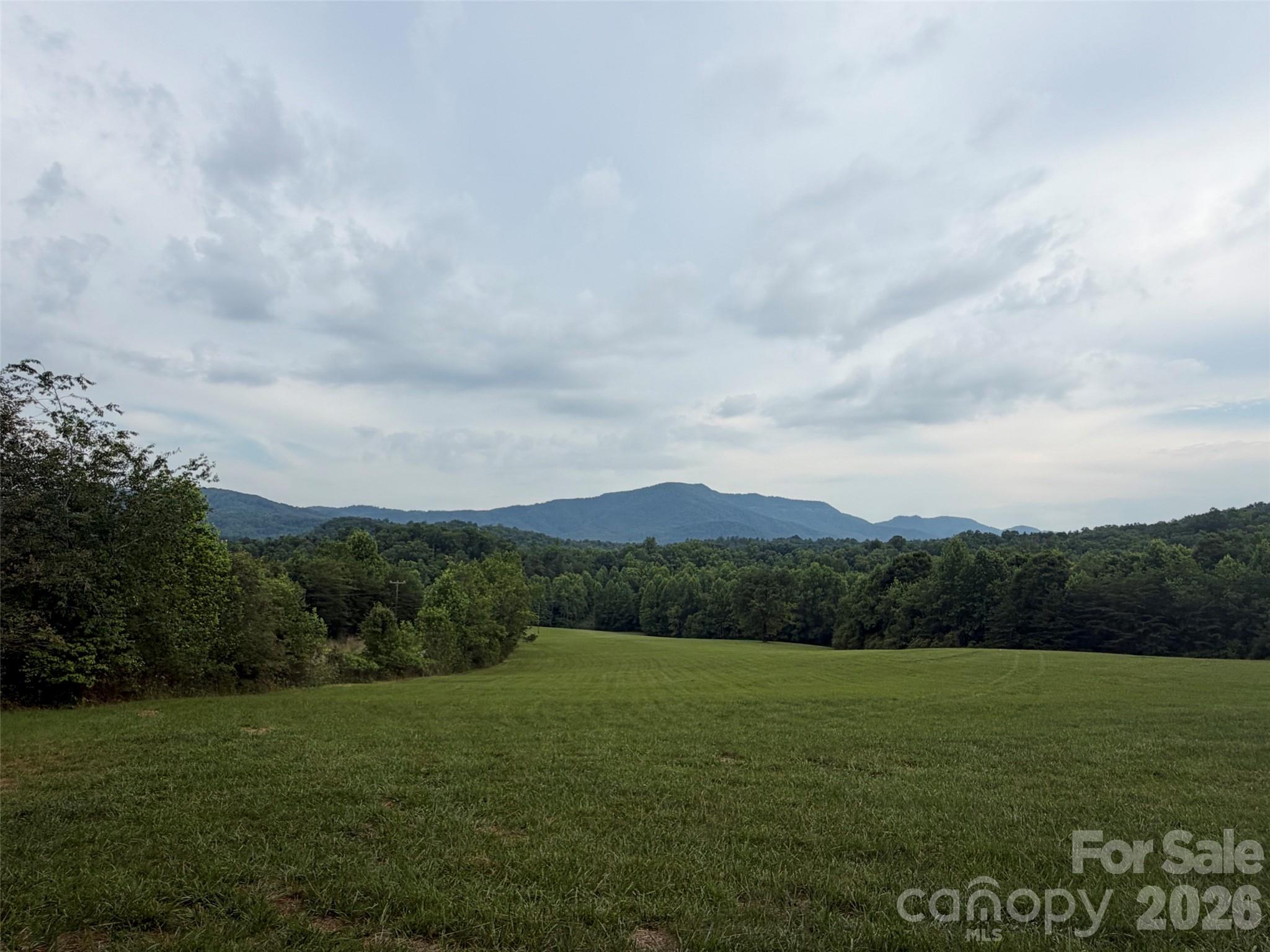 Lot 7 Parker Padgett Road Old Fort, NC 28762 - Photo 11 of 13