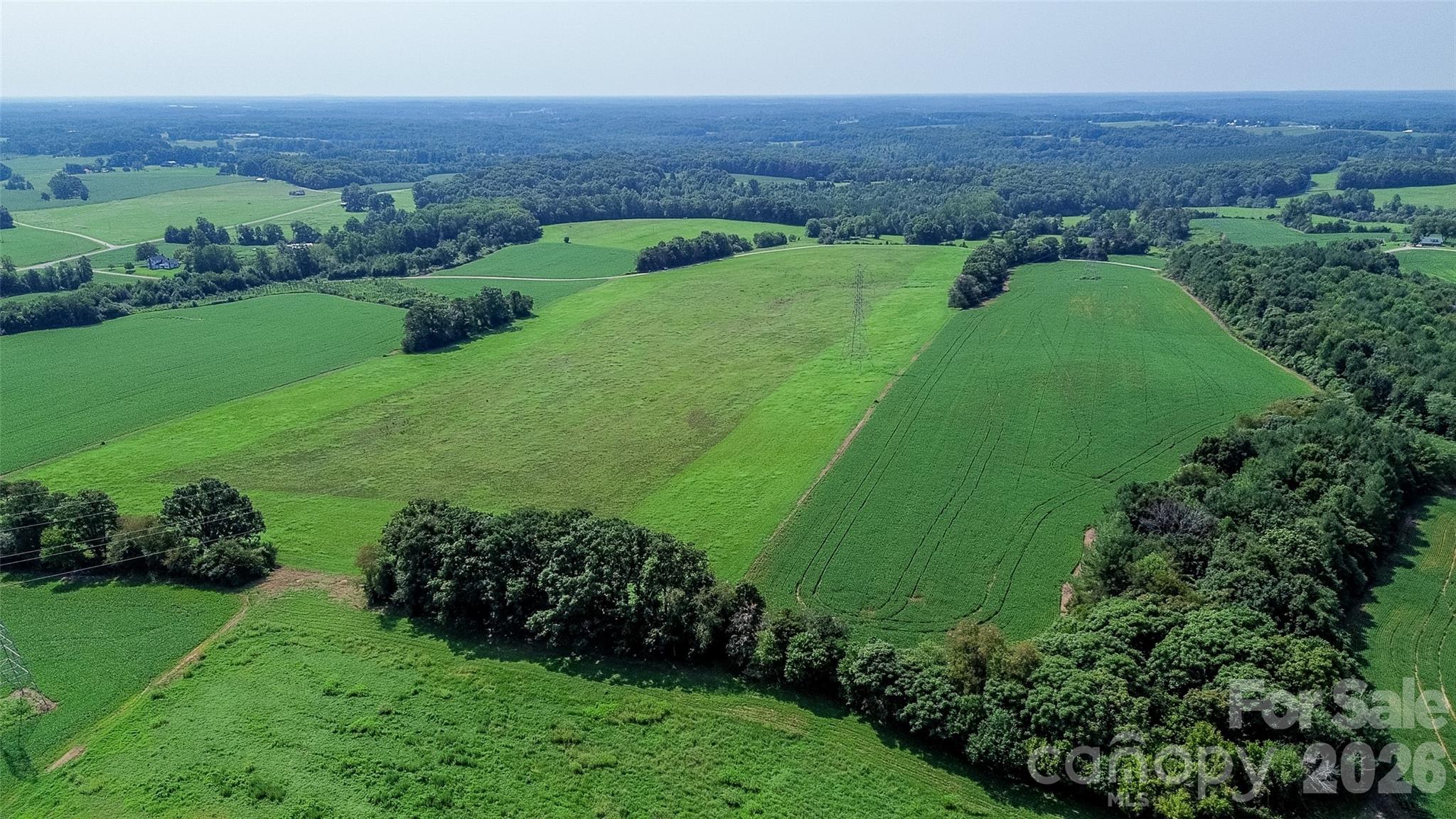 40-ac Amble Road Olin, NC 28660 - Photo 29 of 29 Gallery Image 29