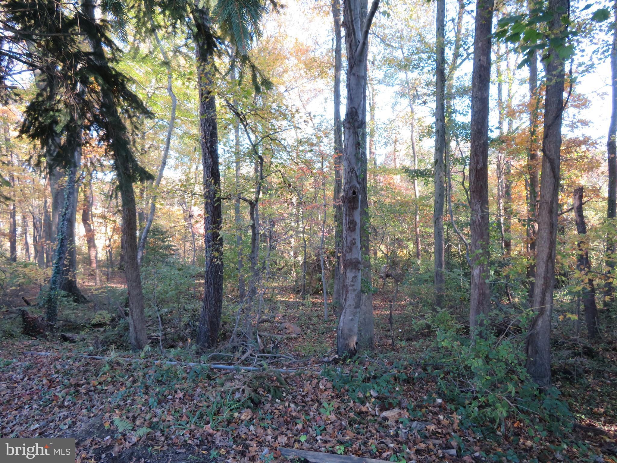 115 Haverhill Road Joppa, MD 21085 - Photo 33 of 35 Home backs to woods