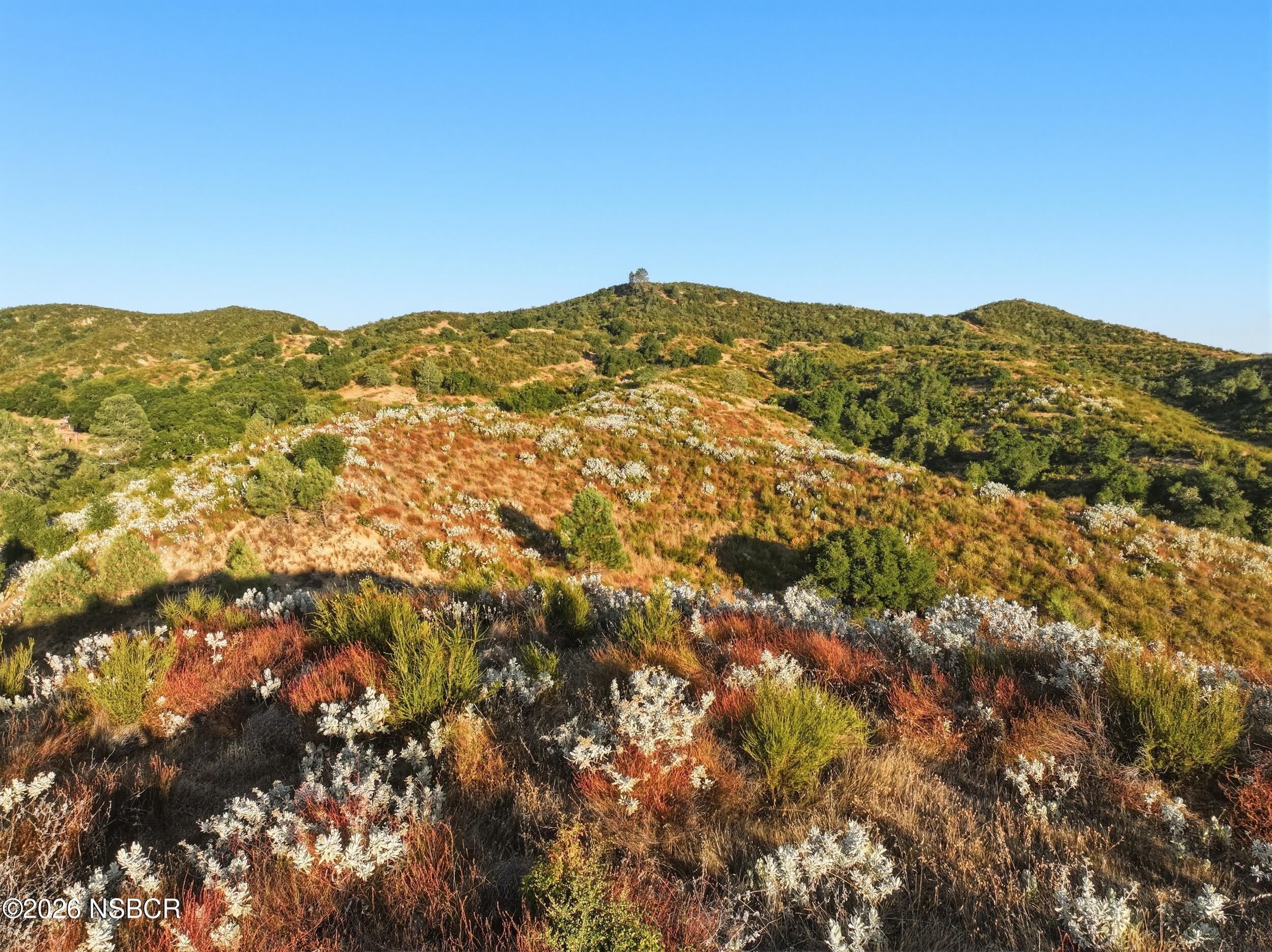 5885 Lion Ridge Road Santa Margarita, CA 93453 - Photo 4 of 26 5885 lion ridge rd-10