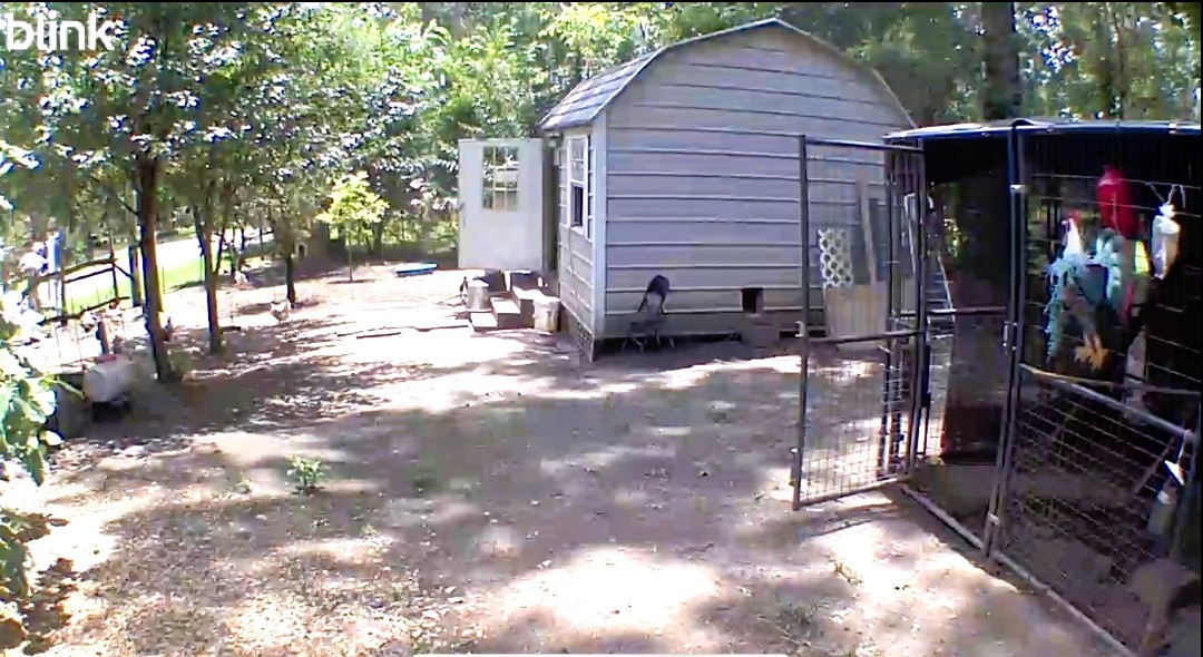 318 Ridgewood Road Goodrich, TX 77335 - Photo 42 of 49 Second lot/ chicken yard/ garden