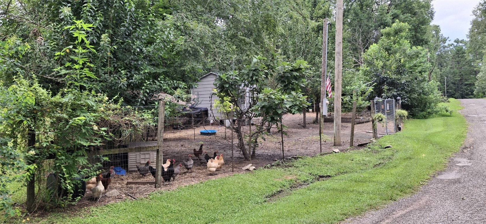 318 Ridgewood Road Goodrich, TX 77335 - Photo 43 of 49 Other lot/ chicken yard/ chicken coop