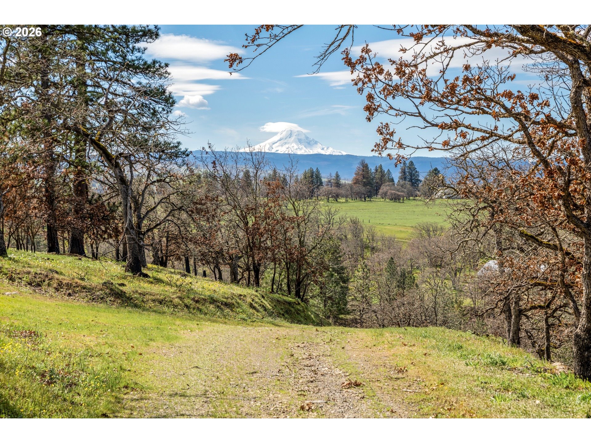 10 Canyon Road Lyle, WA 98635 - Photo 14 of 33 a view of a yard with a tree