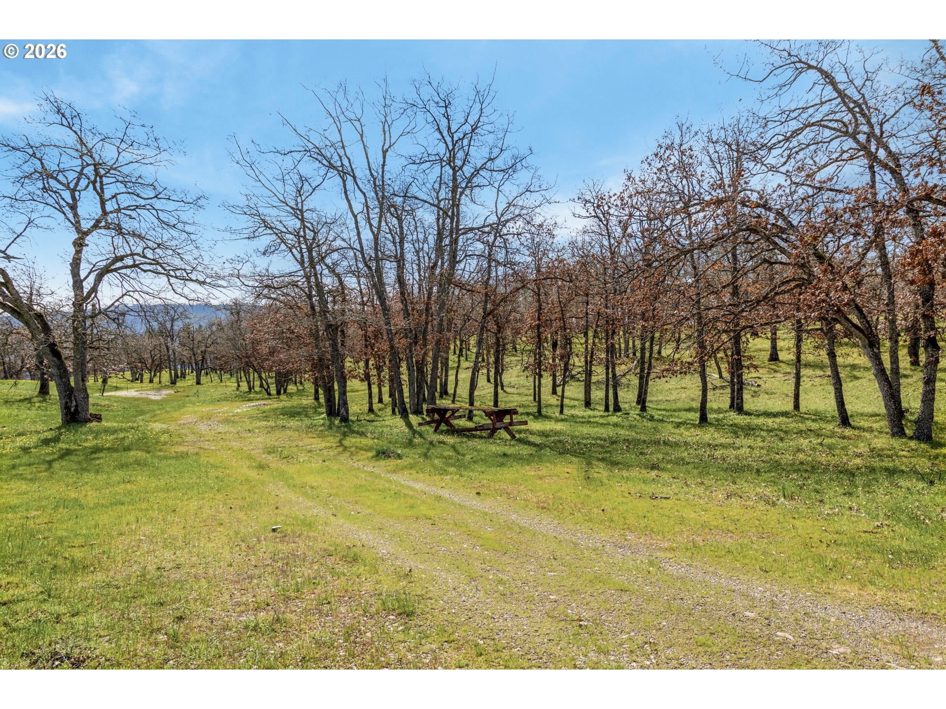 10 Canyon Road Lyle, WA 98635 - Photo 21 of 33 a view of a park with large trees