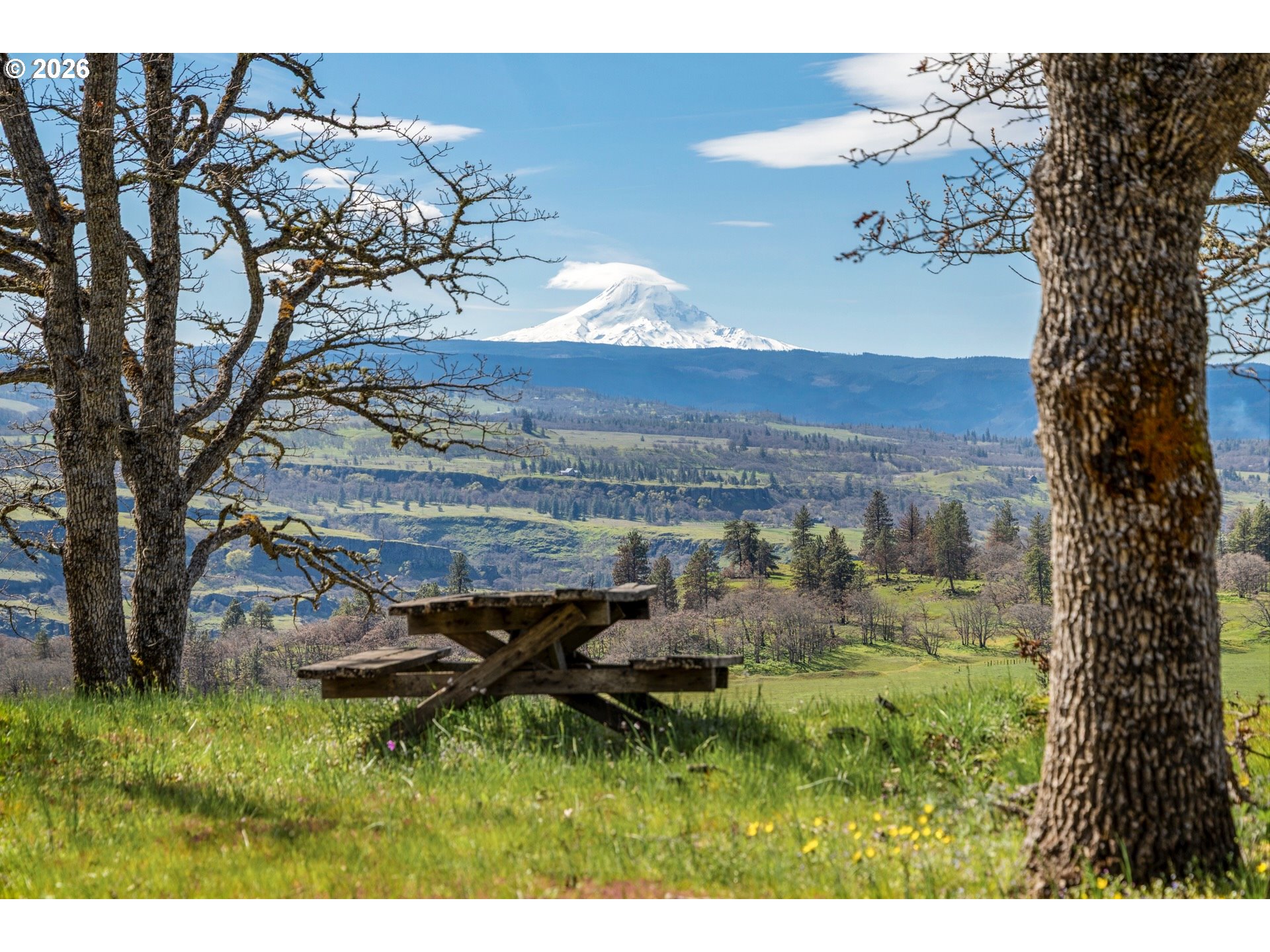 10 Canyon Road Lyle, WA 98635 - Photo 24 of 33 a view of outdoor space and yard