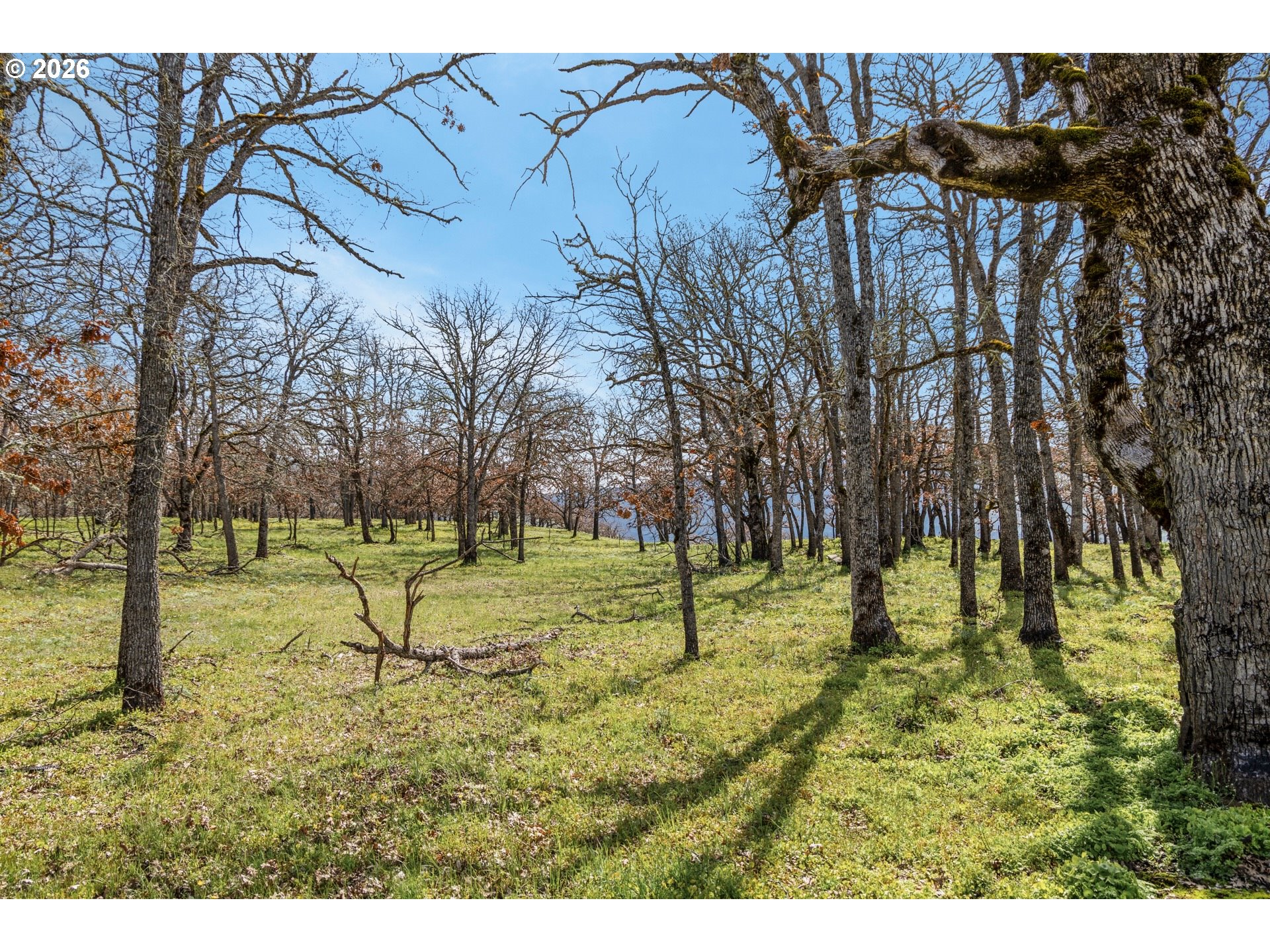 10 Canyon Road Lyle, WA 98635 - Photo 25 of 33 a backyard of a house with lots of green space