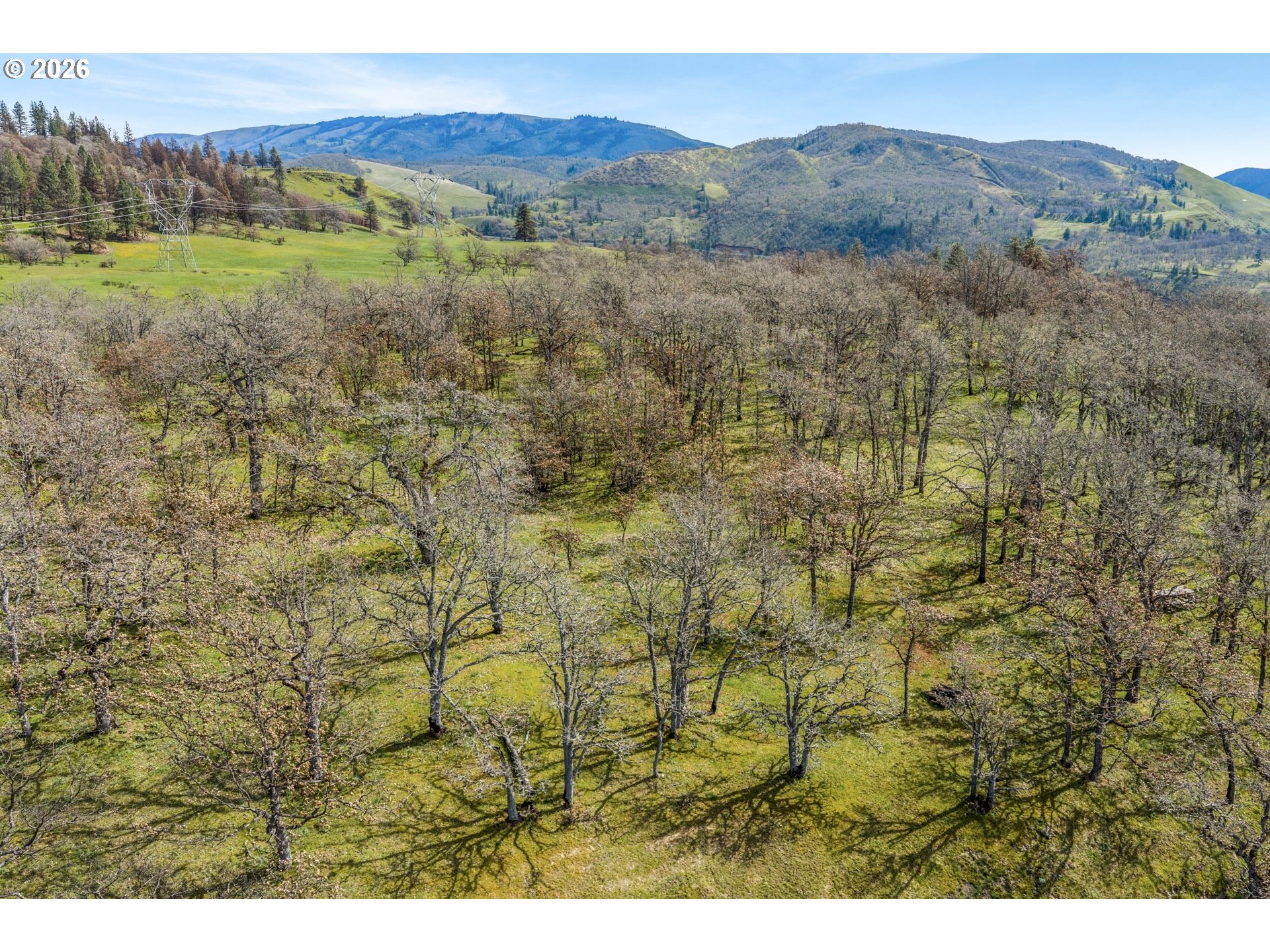 10 Canyon Road Lyle, WA 98635 - Photo 27 of 33 a view of a lush green hillside and a houses