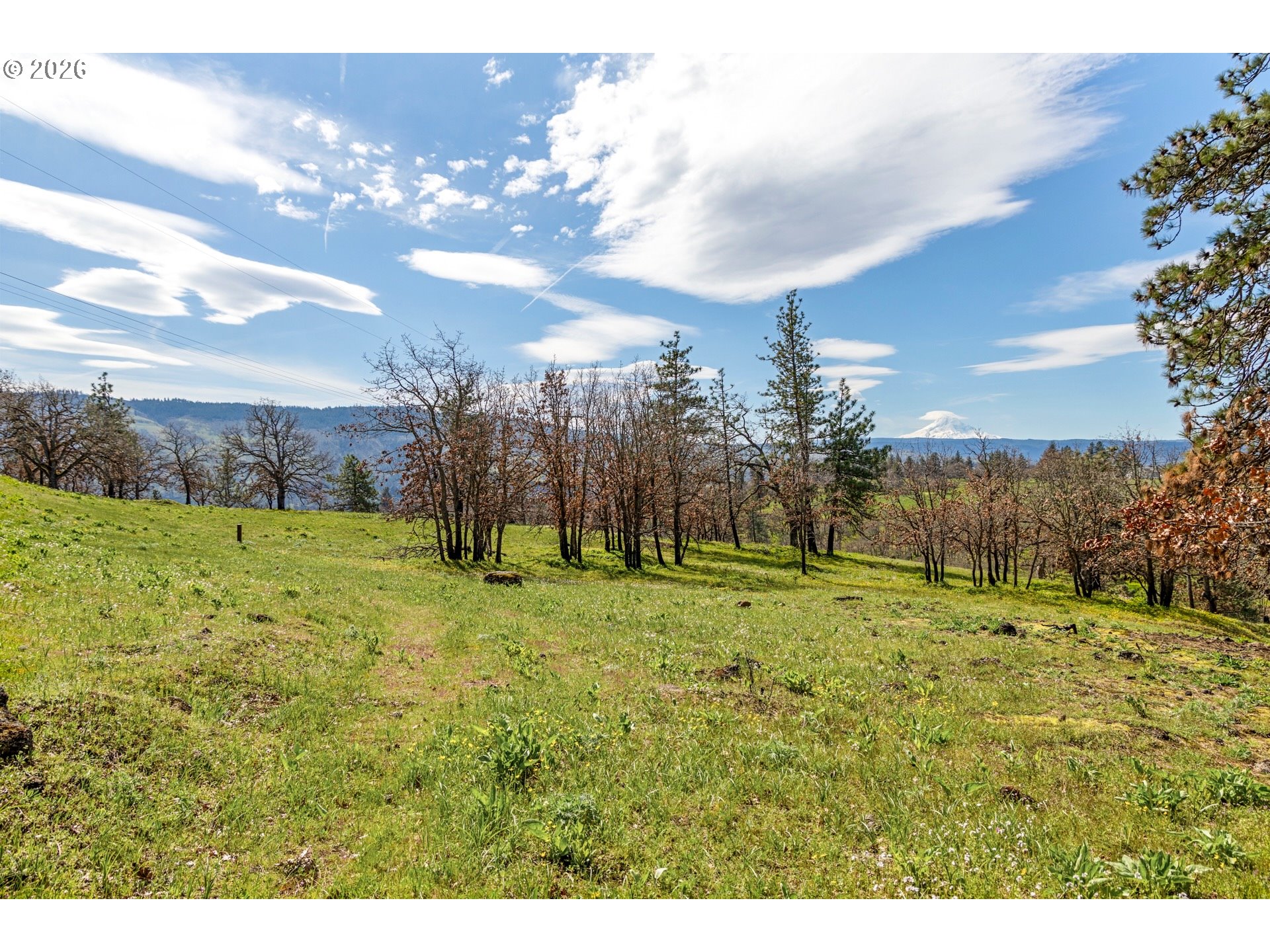 10 Canyon Road Lyle, WA 98635 - Photo 31 of 33 a backyard of a house with lots of green space
