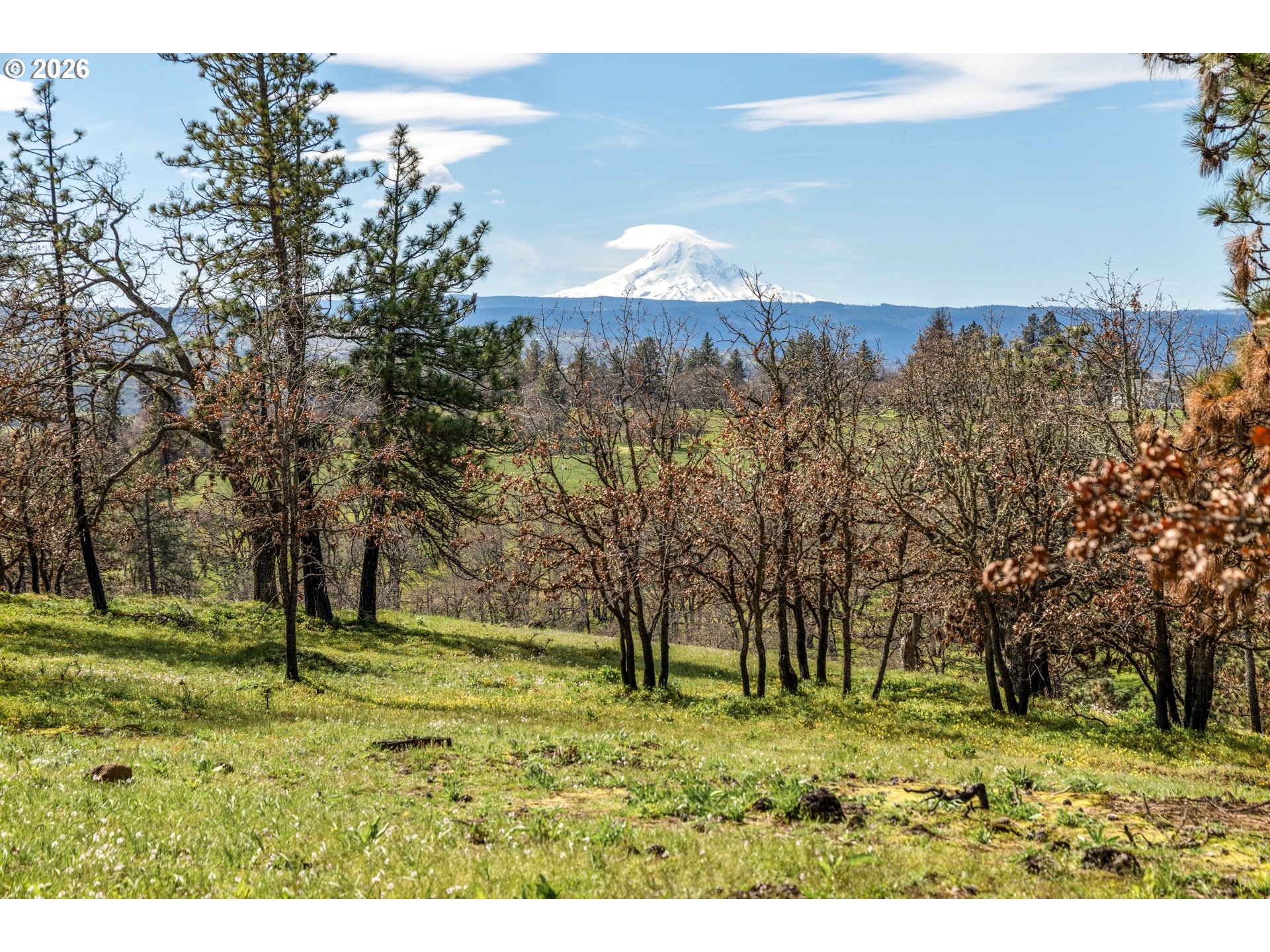 10 Canyon Road Lyle, WA 98635 - Photo 5 of 33 a view of a park with large trees