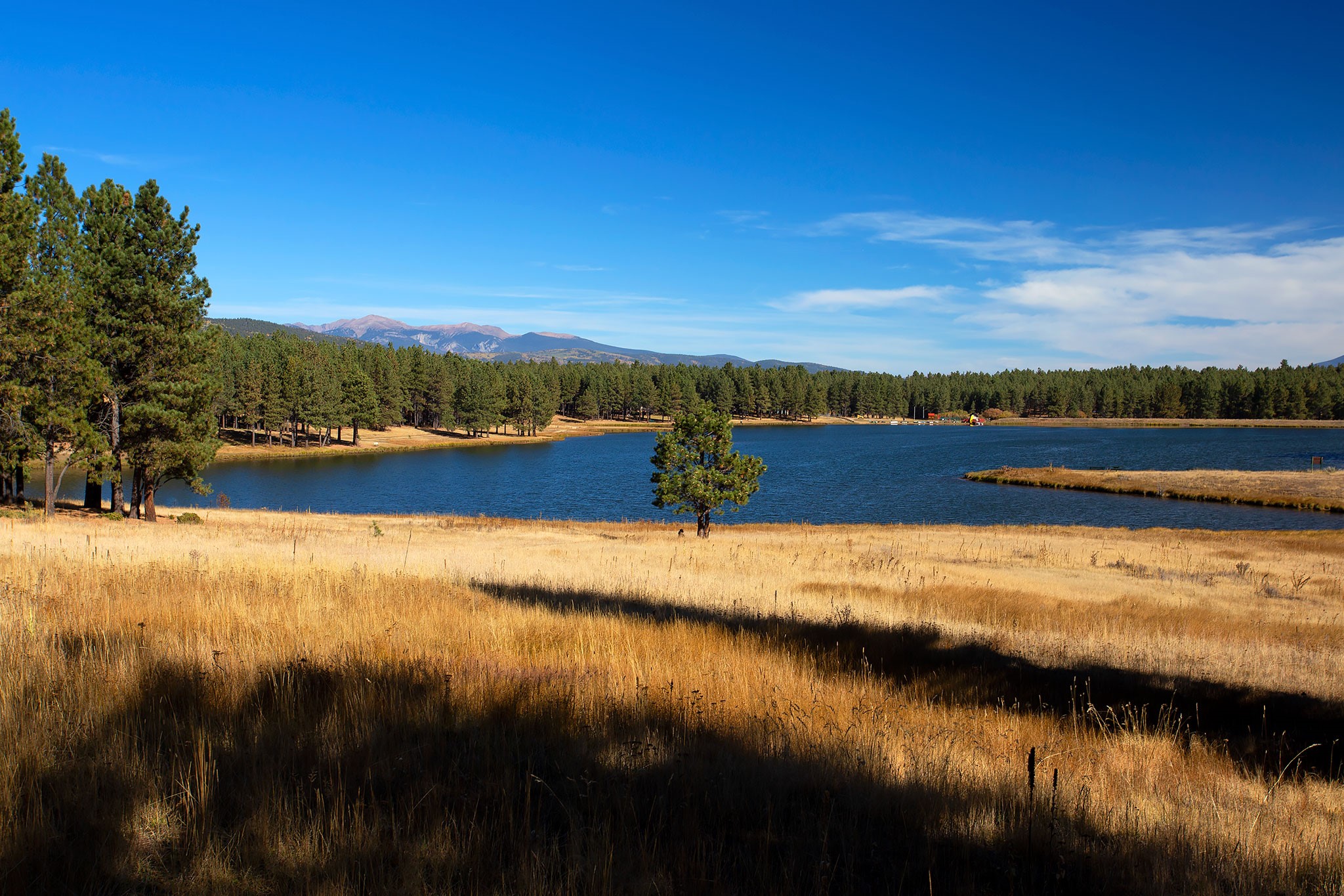 1 The Ranch Angel Fire, NM 87710 - Photo 56 of 67