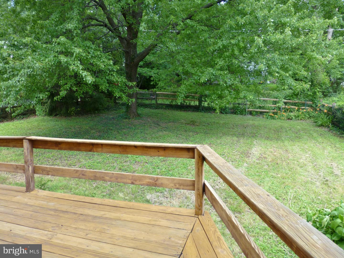 77 Park Road Wyomissing, PA 19609 - Photo 4 of 16 Exterior Back