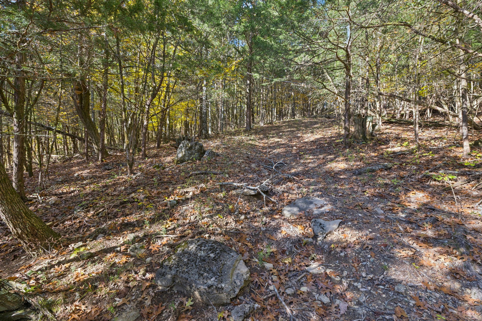 6865 Bizzell Howell Road College Grove, TN 37046 - Photo 61 of 95 Gallery Image 61