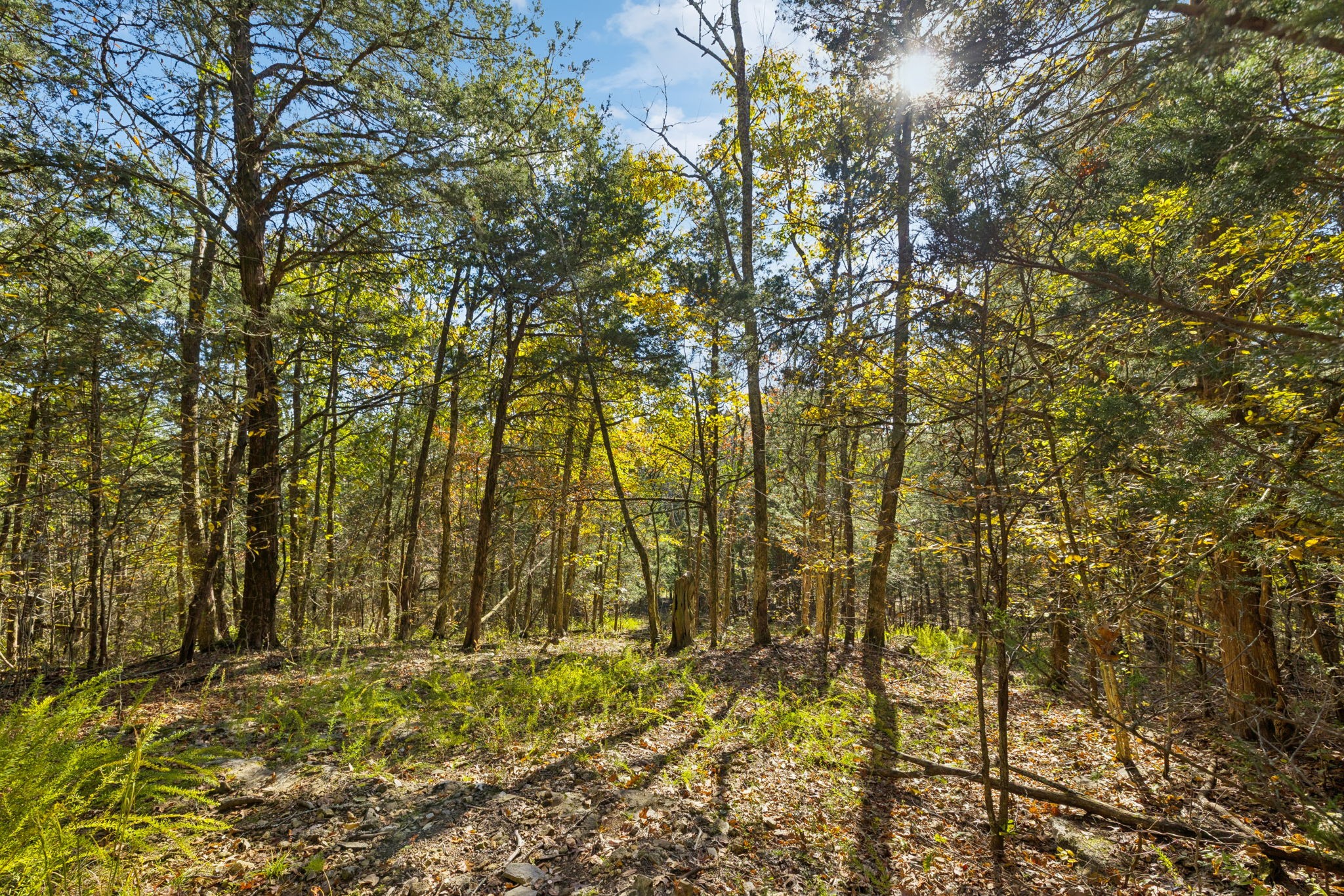 6865 Bizzell Howell Road College Grove, TN 37046 - Photo 62 of 95 Gallery Image 62