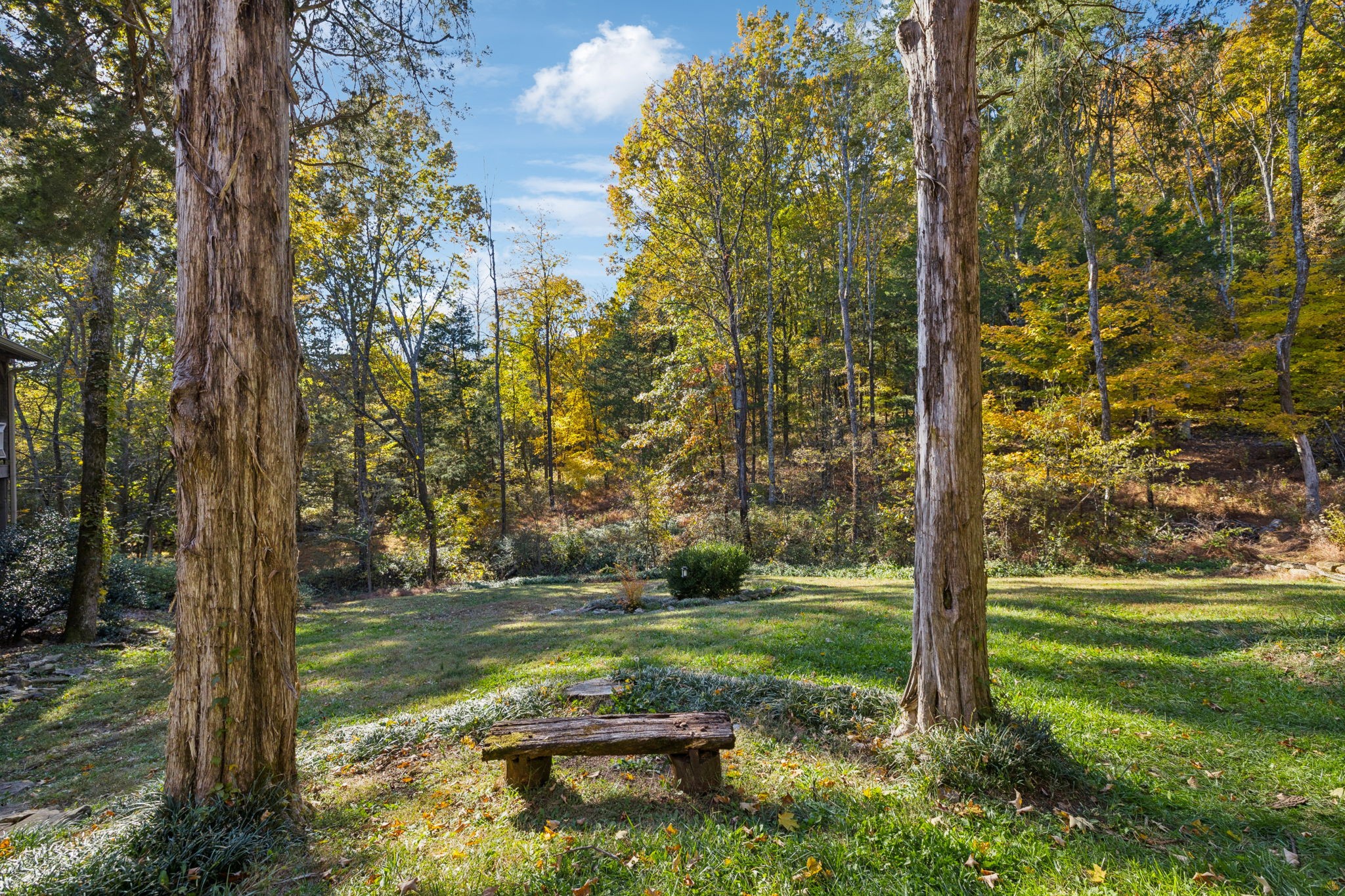 6865 Bizzell Howell Road College Grove, TN 37046 - Photo 65 of 95 Gallery Image 65