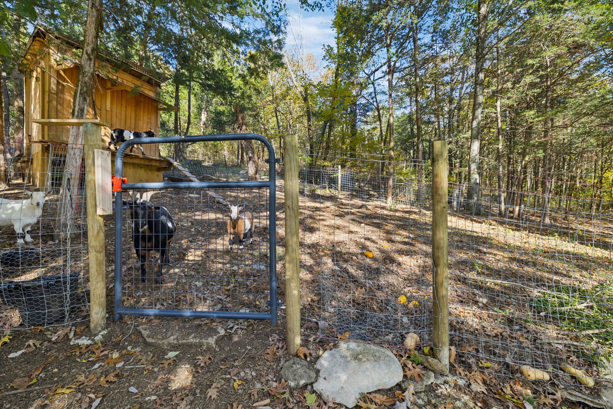 6865 Bizzell Howell Road College Grove, TN 37046 - Photo 69 of 95 Gallery Image 69