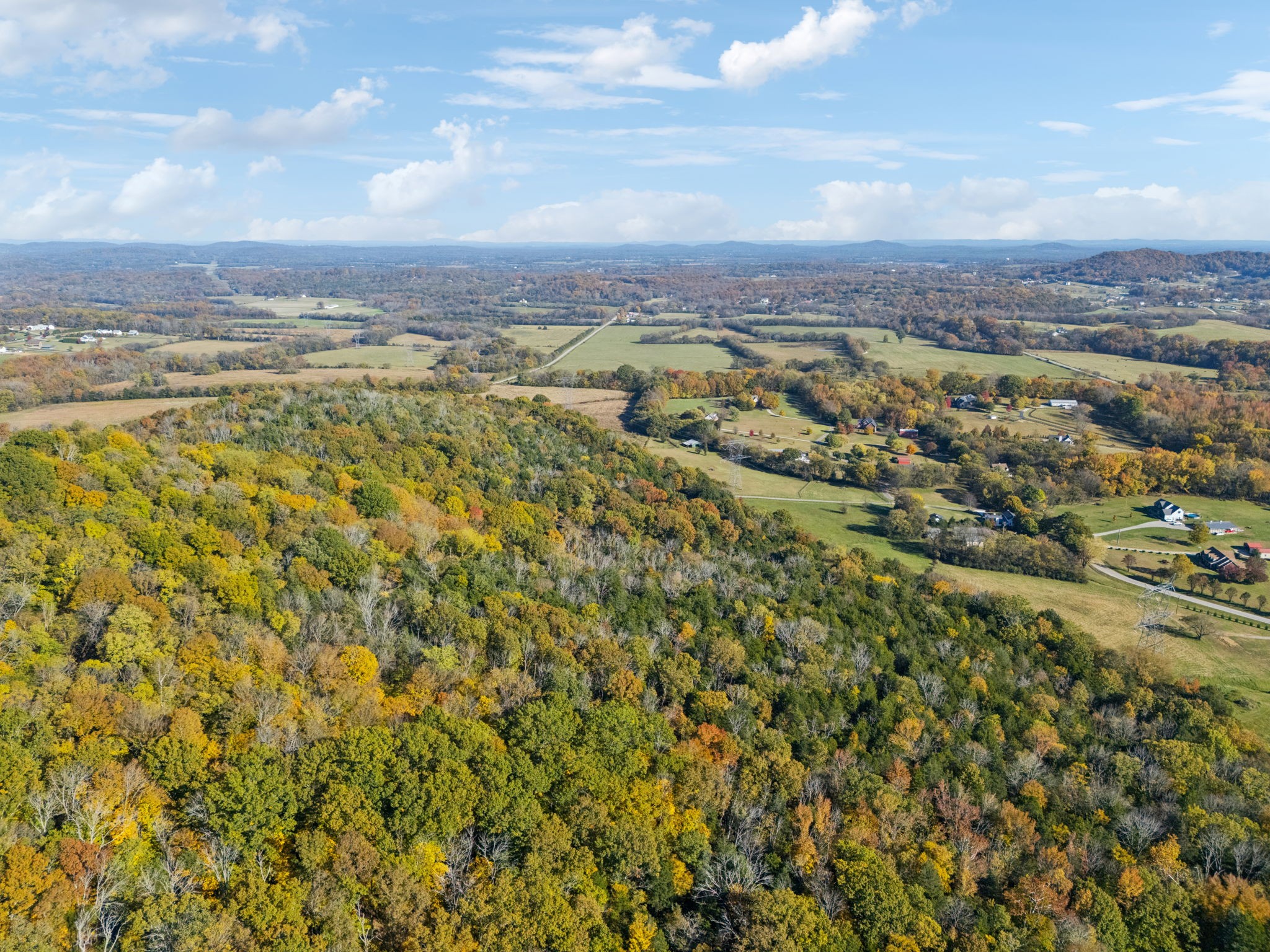 6865 Bizzell Howell Road College Grove, TN 37046 - Photo 75 of 95 Gallery Image 75