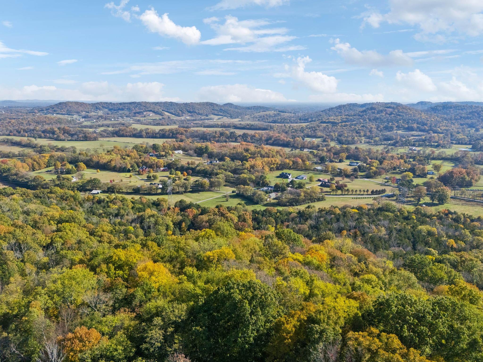 6865 Bizzell Howell Road College Grove, TN 37046 - Photo 76 of 95 Gallery Image 76