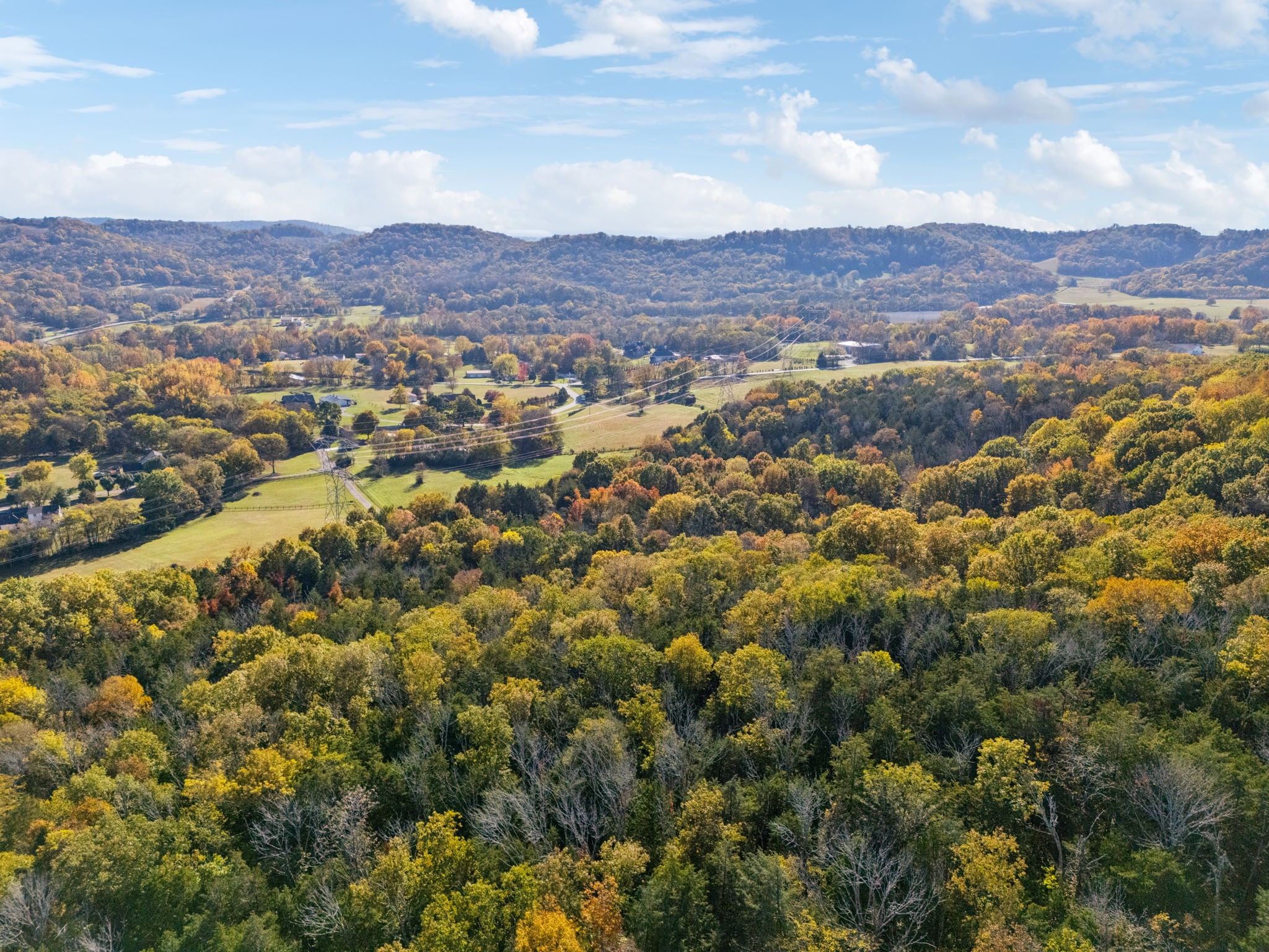6865 Bizzell Howell Road College Grove, TN 37046 - Photo 78 of 95 Gallery Image 78