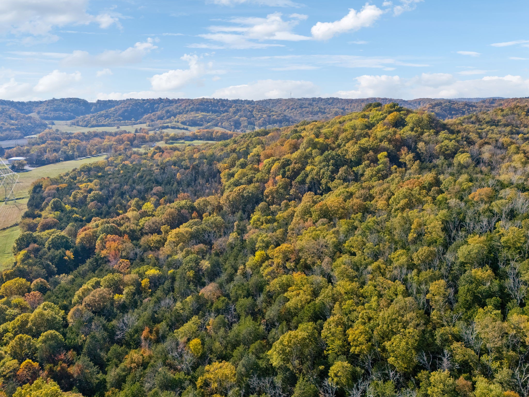 6865 Bizzell Howell Road College Grove, TN 37046 - Photo 79 of 95 Gallery Image 79