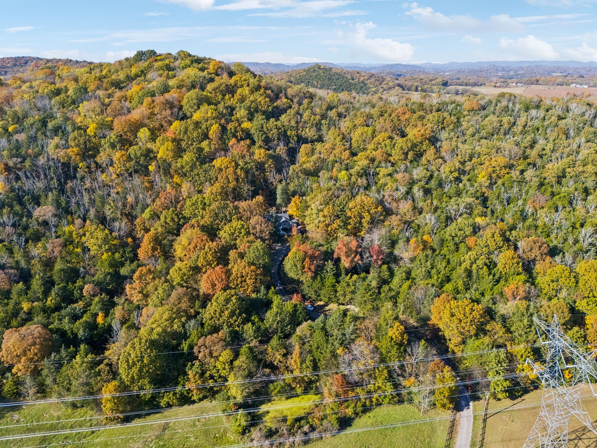 6865 Bizzell Howell Road College Grove, TN 37046 - Photo 80 of 95 Gallery Image 80