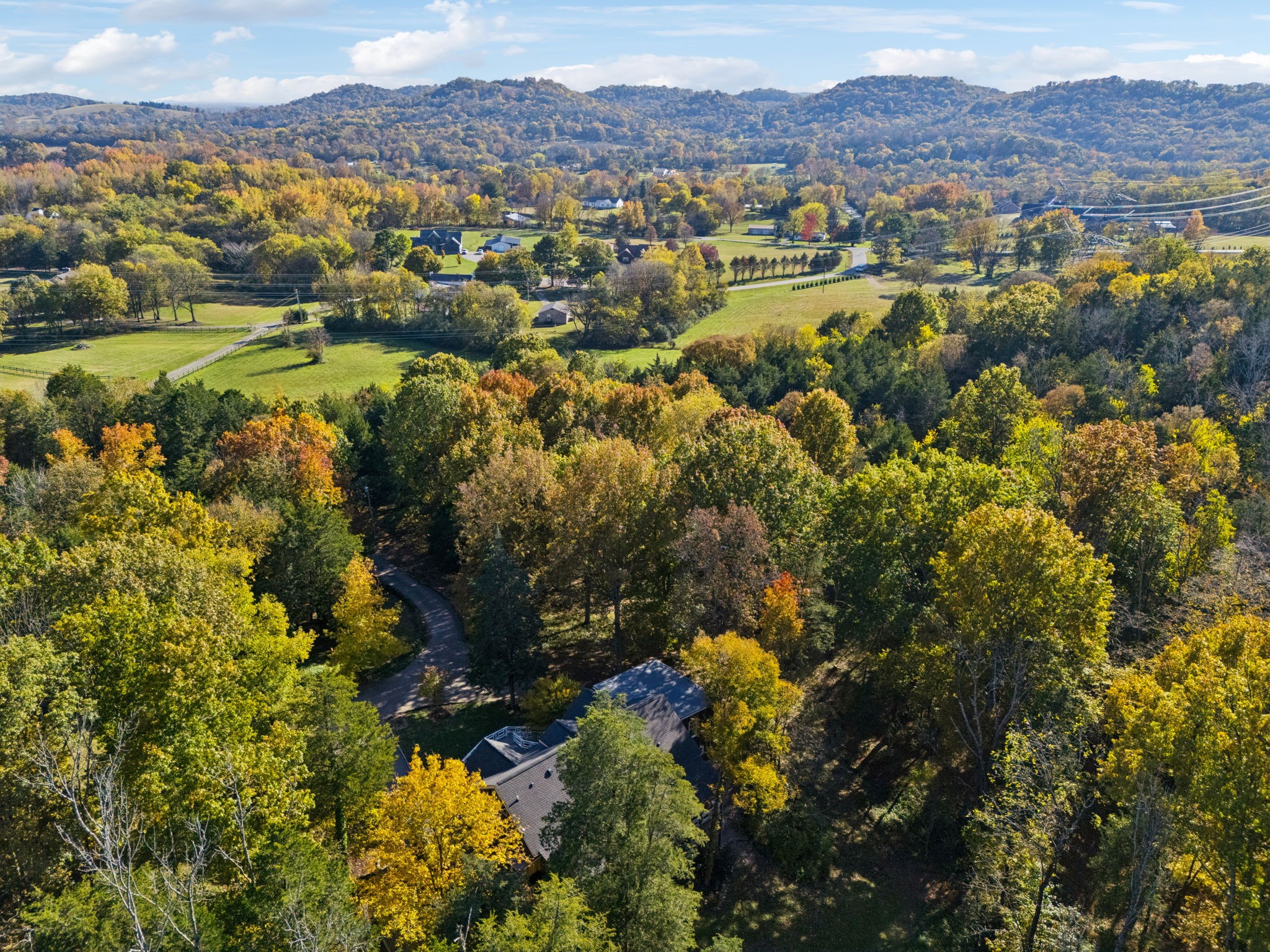 6865 Bizzell Howell Road College Grove, TN 37046 - Photo 88 of 95 Gallery Image 88