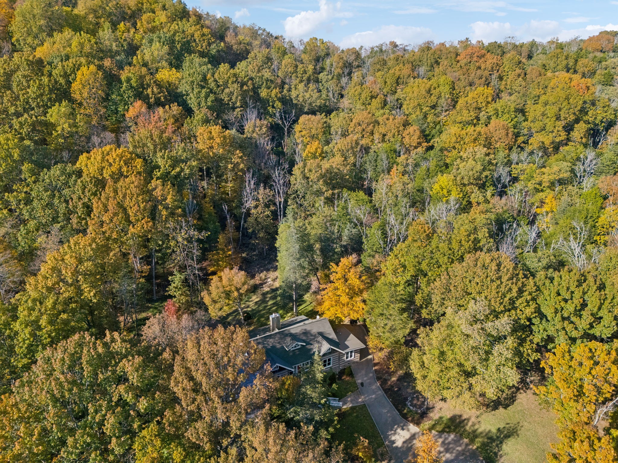 6865 Bizzell Howell Road College Grove, TN 37046 - Photo 90 of 95 Gallery Image 90