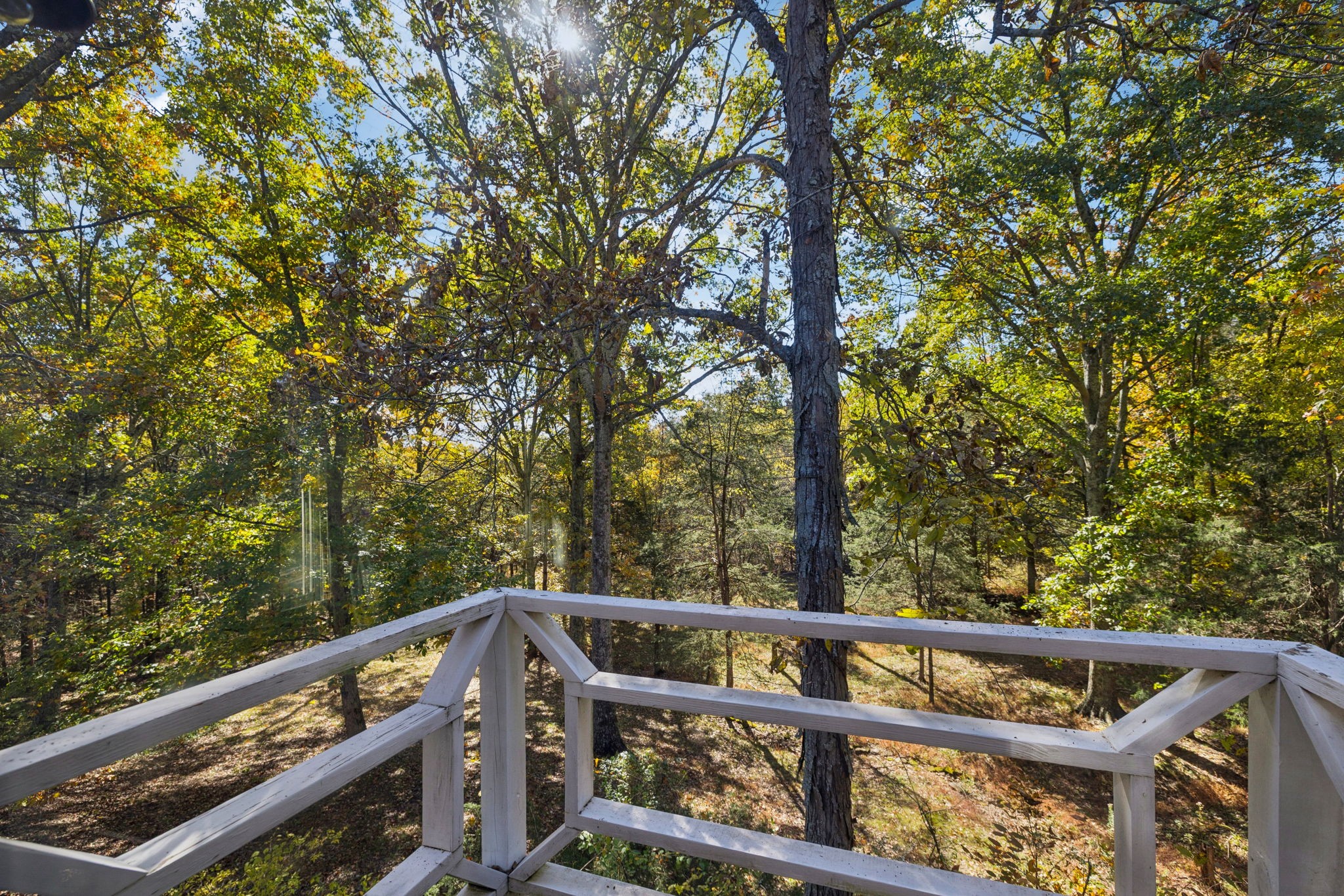 6865 Bizzell Howell Road College Grove, TN 37046 - Photo 95 of 95 Gallery Image 95
