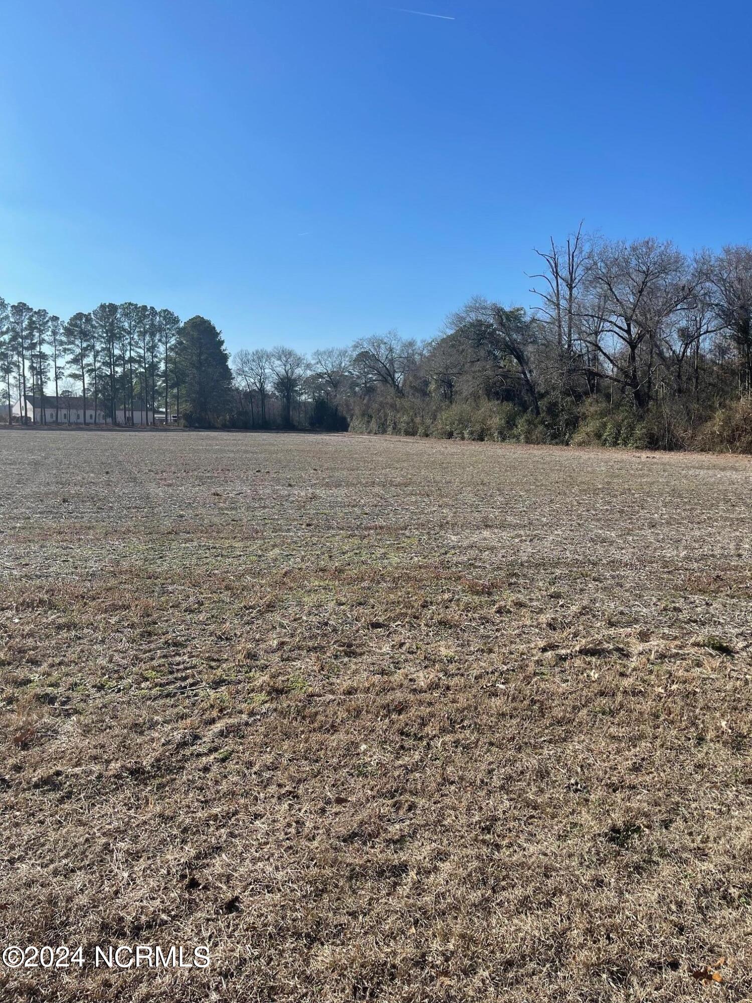 0 Duplin County Road Pink Hill, NC 28572 - Photo 11 of 14 256 Duplin County Road