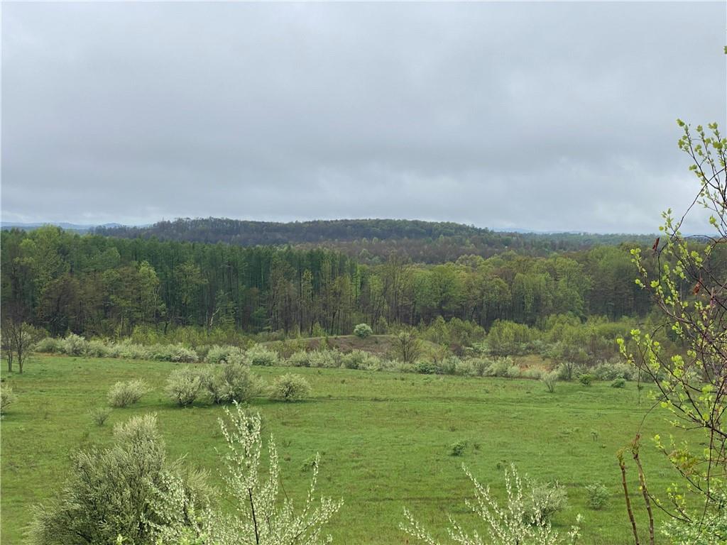 a view of a green field with trees in the background