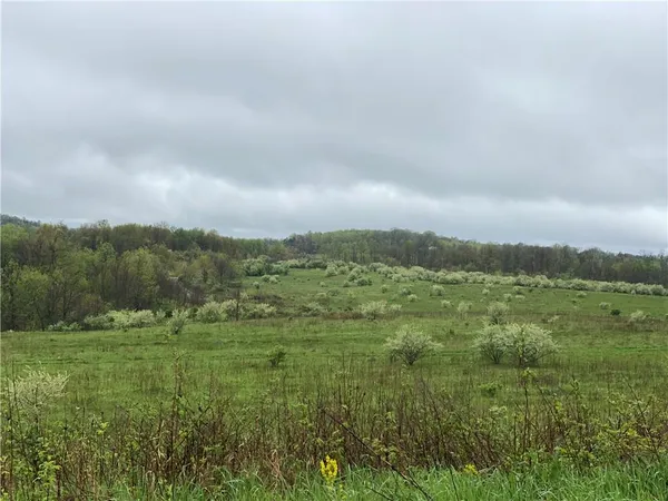 a view of a green field with lots of green space