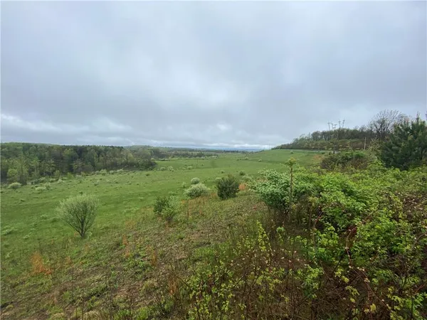 a view of a field of grass and trees