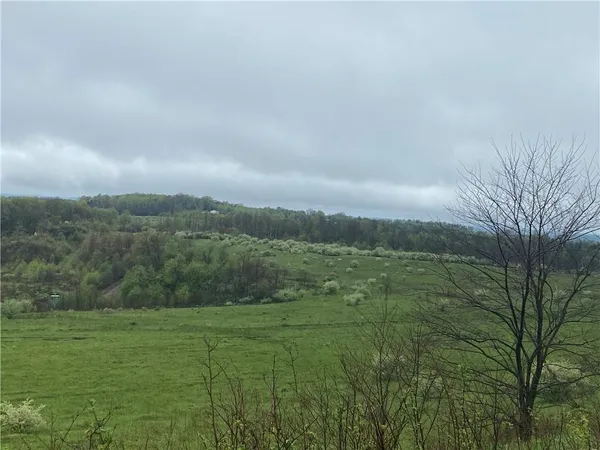 a view of an outdoor space and a yard
