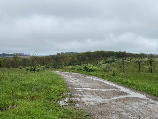 a view of a grassy field with trees