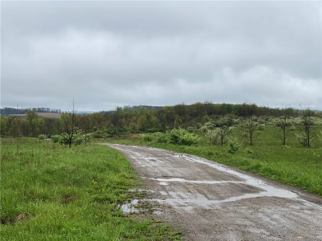0 Decker's Point Road Marion Center, PA 15759 - Photo 5 of 9 a view of a grassy field with trees