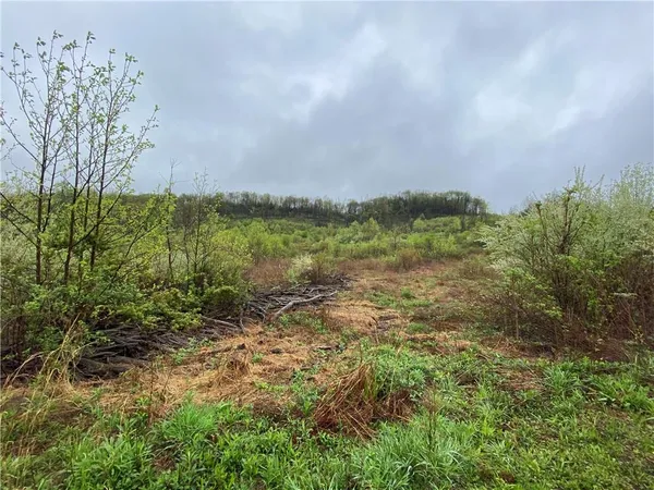 a view of a garden with a building in front of it
