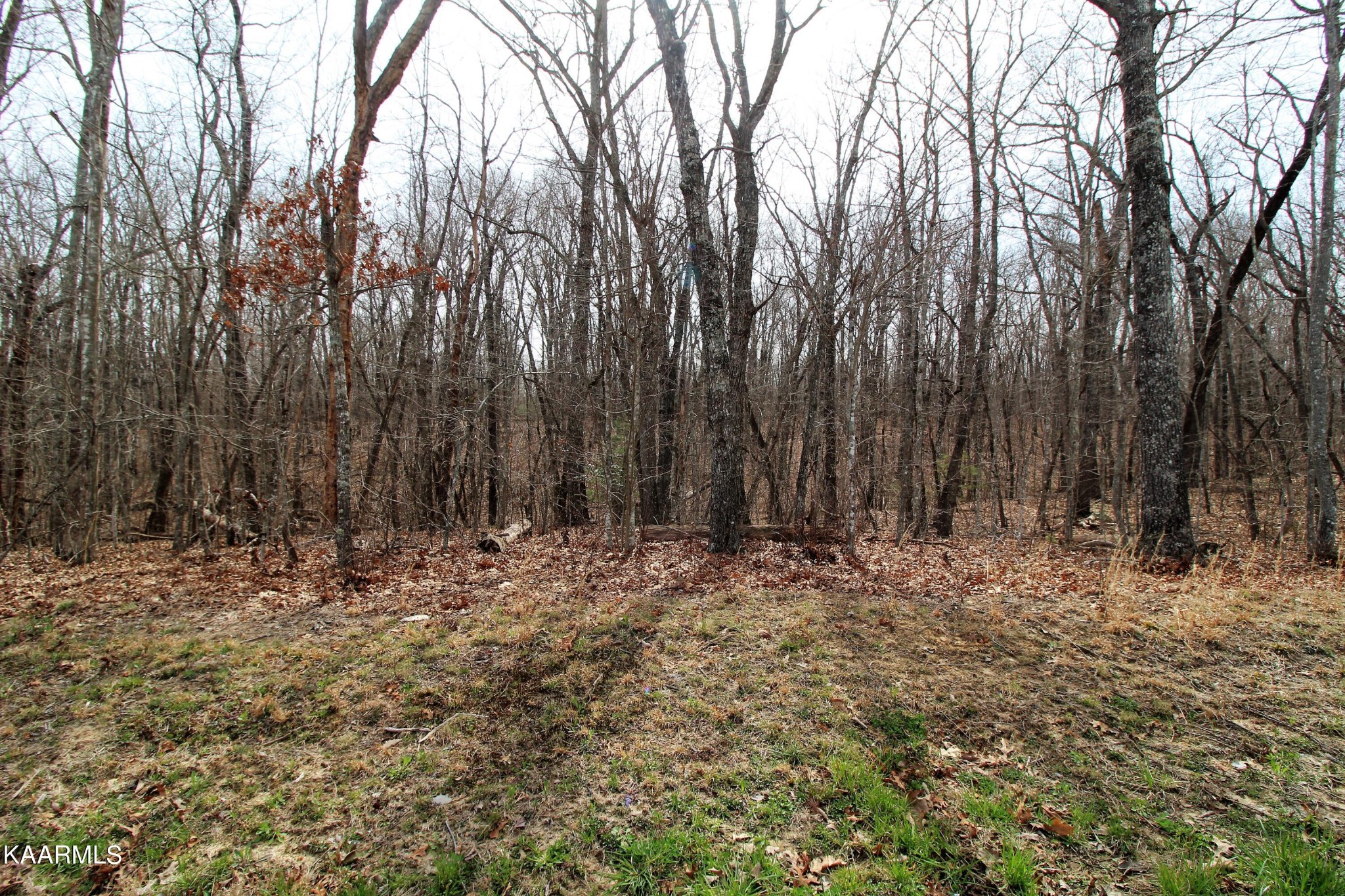 140 Folkstone Road Crossville, TN 38558 - Photo 2 of 2