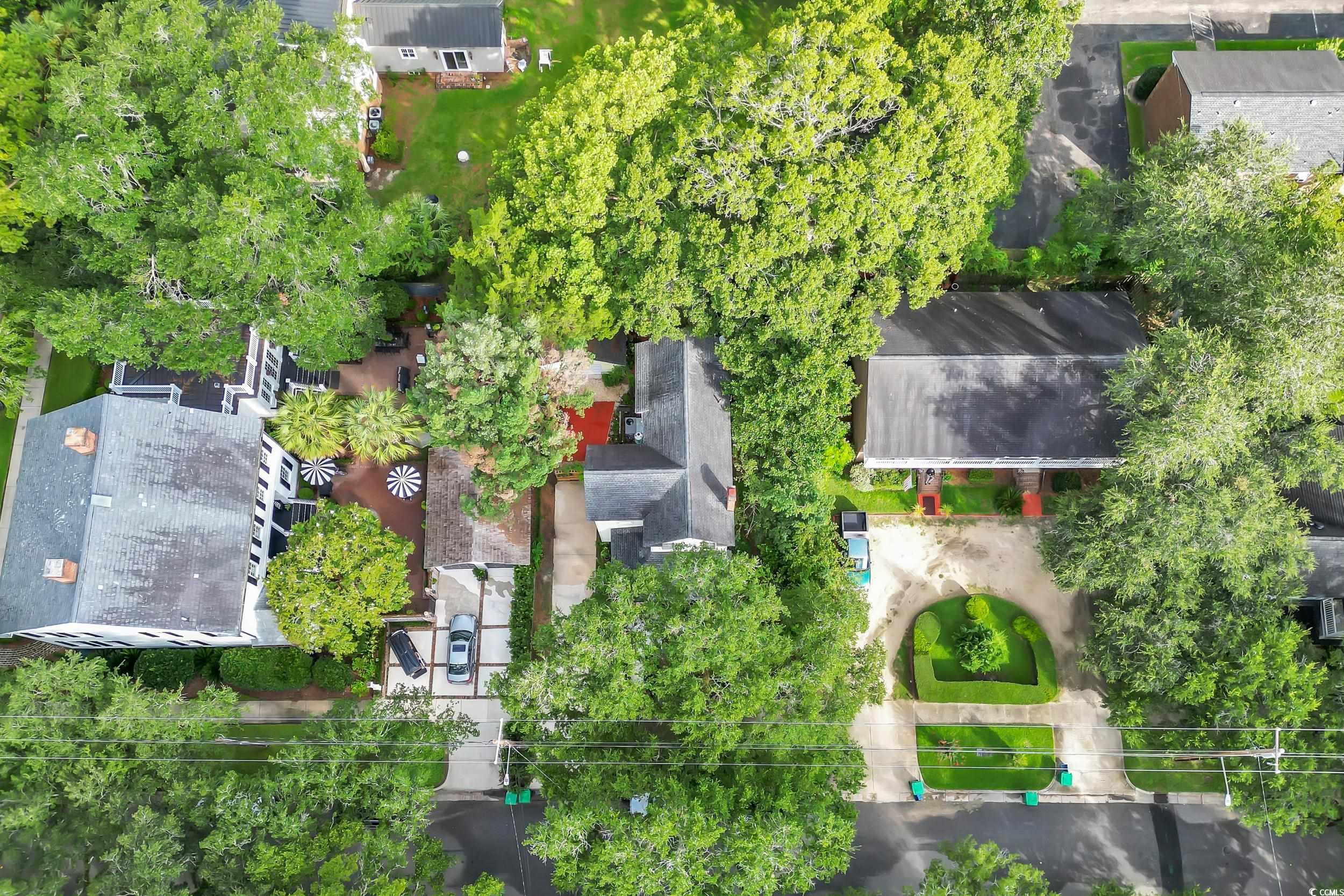 209 Cannon Street Georgetown, SC 29440 - Photo 32 of 34 Aerial view