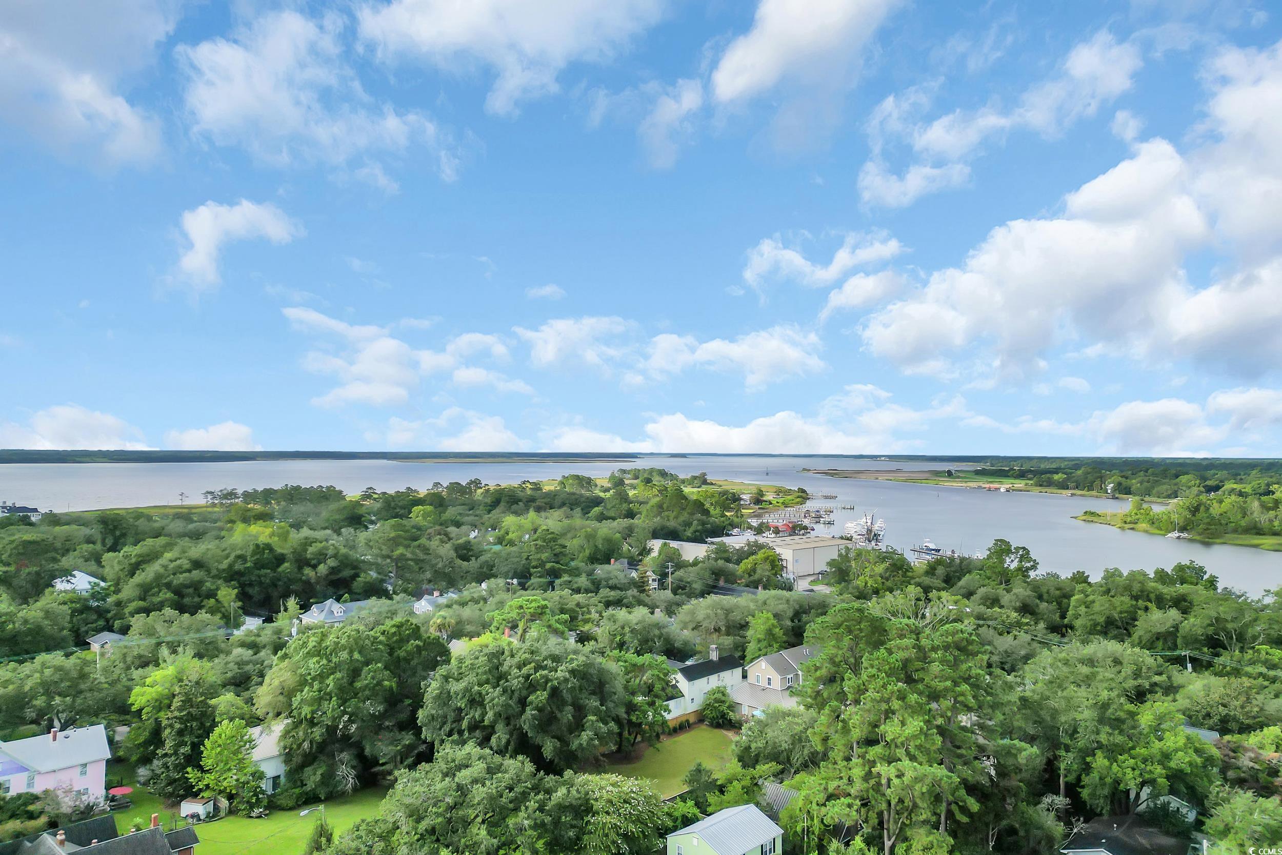 209 Cannon Street Georgetown, SC 29440 - Photo 34 of 34 Drone / aerial view of a nearby body of water