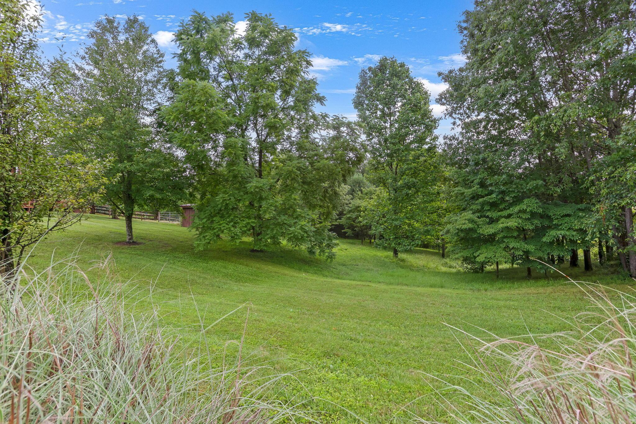 35 White Road Nelsonville, OH 45764 - Photo 48 of 58 Yard