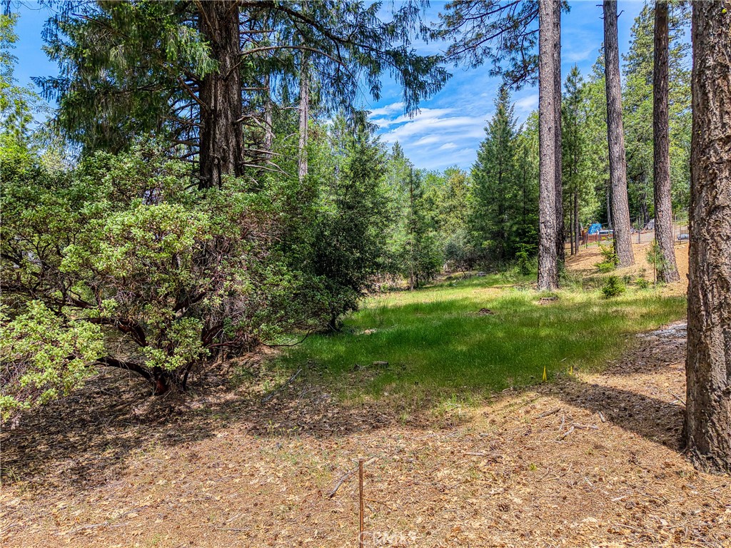 8833 Fox Drive Cobb, CA 95451 - Photo 11 of 20 a view of a backyard with large trees