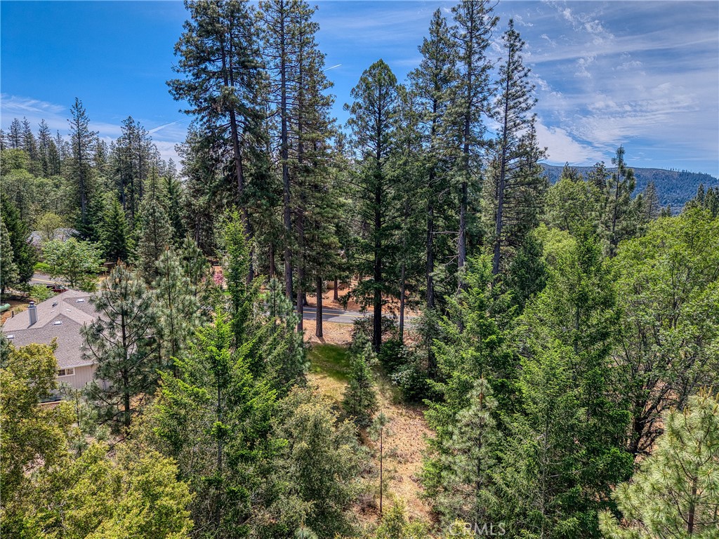 8833 Fox Drive Cobb, CA 95451 - Photo 13 of 20 a backyard of a house with lots of green space