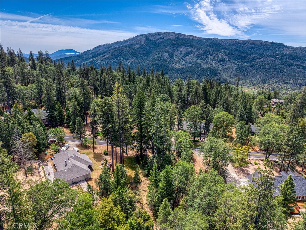 8833 Fox Drive Cobb, CA 95451 - Photo 14 of 20 a view of a city with lush green forest