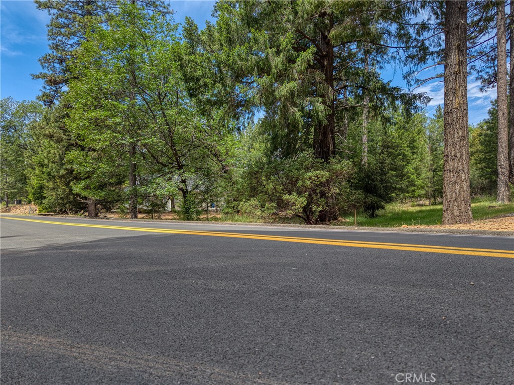 8833 Fox Drive Cobb, CA 95451 - Photo 15 of 20 a view of a green field with trees