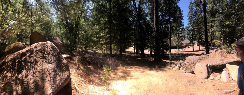 8833 Fox Drive Cobb, CA 95451 - Photo 3 of 20 a view of outdoor space with trees