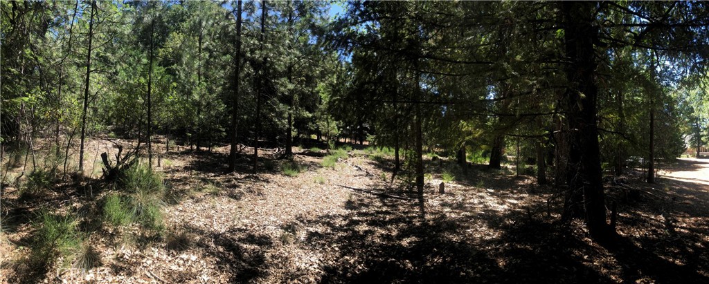 8833 Fox Drive Cobb, CA 95451 - Photo 6 of 20 a view of outdoor space and trees