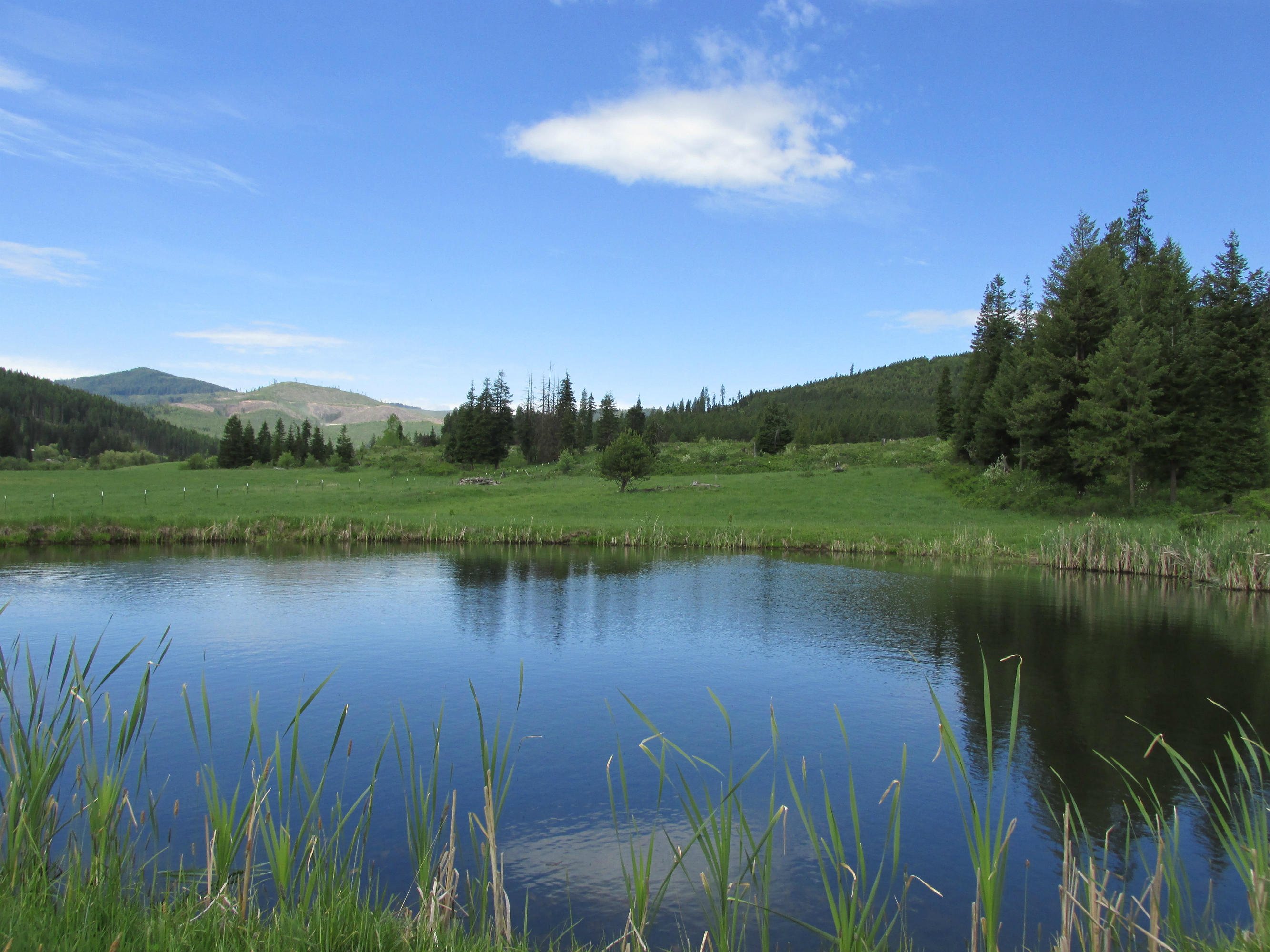Nka Nka Sheep Creek Road St. Maries, ID 83861 - Photo 1 of 1 Pond - Spring Photo
