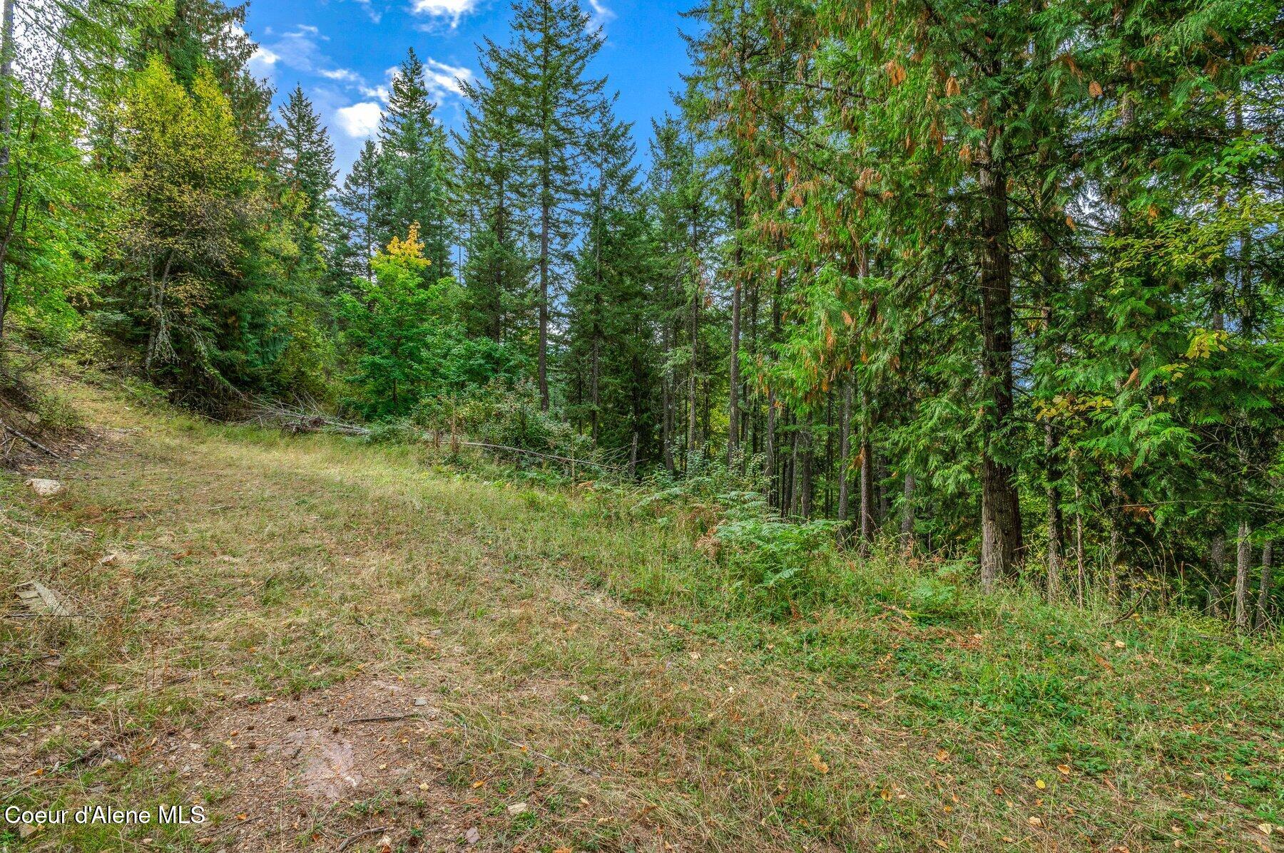 818 Silver Creek Road Clark Fork, ID 83811 - Photo 39 of 45 Mid level