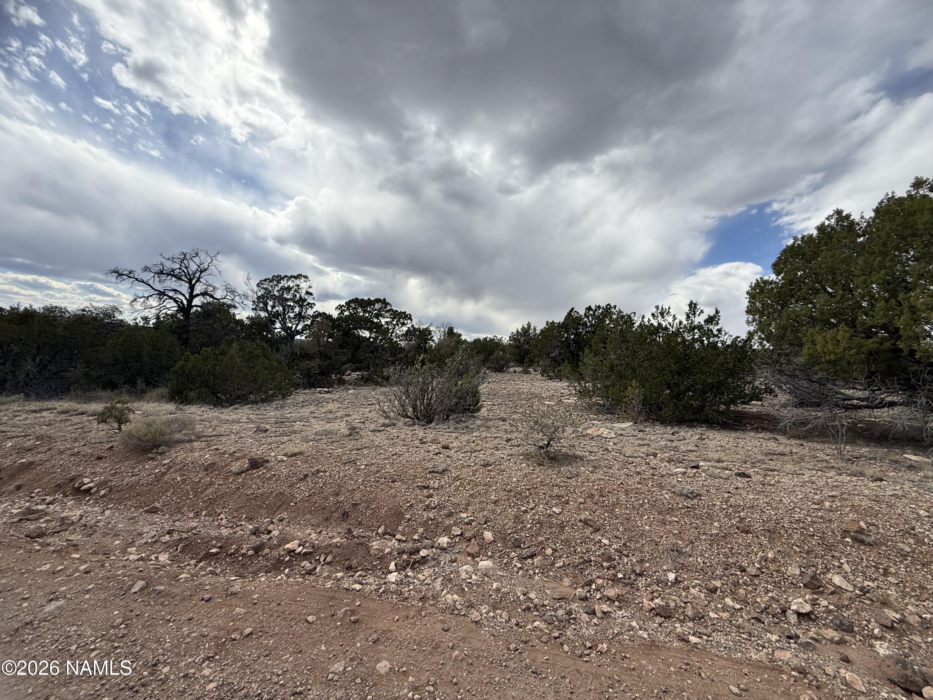 12581 North Chino Road Williams, AZ 86046 - Photo 10 of 15 IMG_5260