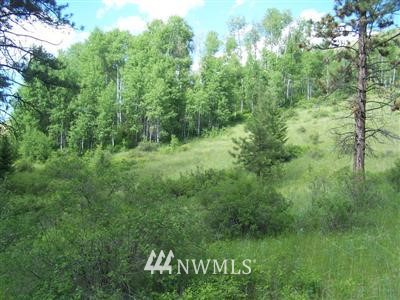 -tbd Tbd Sqove Road Wauconda, WA 98859 - Photo 1 of 1