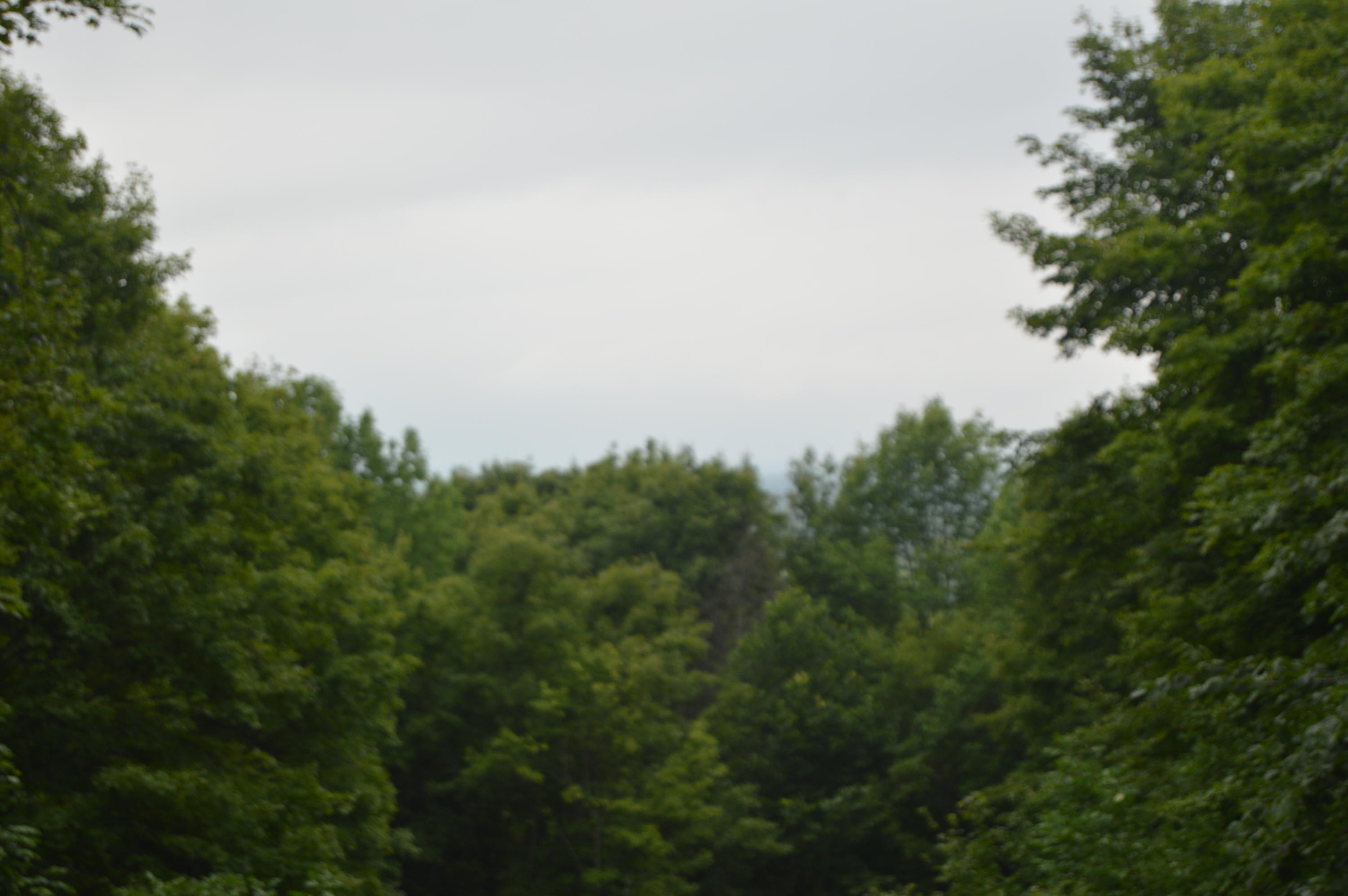 2910 Munger Road Carp Lake, MI 49718 - Photo 27 of 43 Gallery Image 27